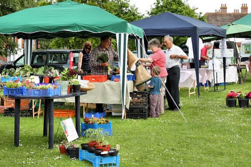 Local food movement beginning to reshape American society