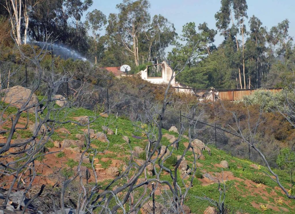 politics_of_fire_part_2