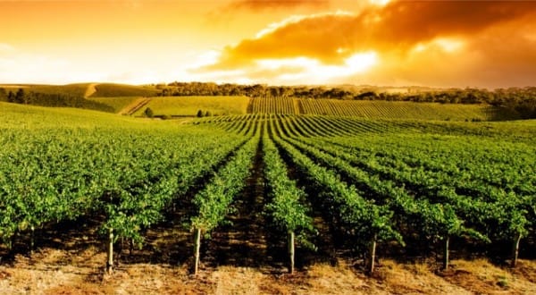 Signs of Climate Change