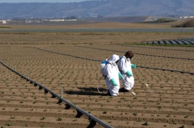 California Democrats want one-year delay in registering controversial fumigant, methyl iodide