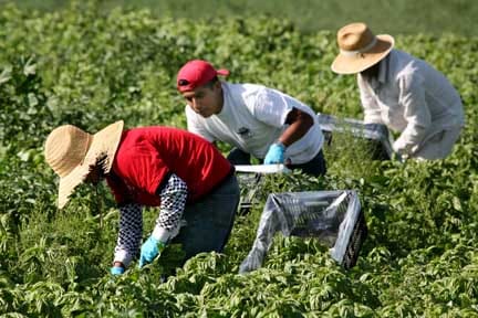 Farm workers might be forced to unionize under new California law