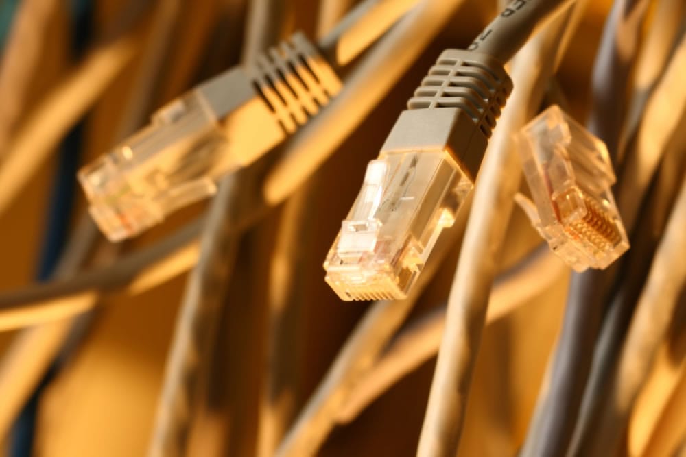 credit: shutterstock.com