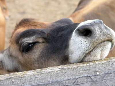 February farm update